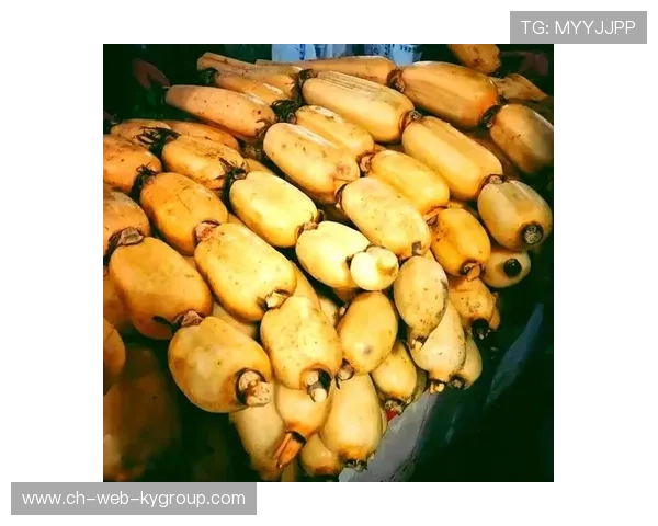 ¦ó+¡-+¼¦¦Â»Î¸ãÁãÁú¦ð-+³+¥¦Õ¦+Í«-ÀÁ-¦Ï+³¦+¥Í